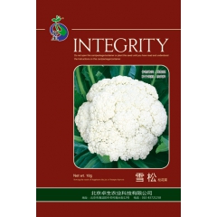 中华老字号 东阿阿胶桃花姬阿胶糕300g