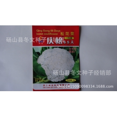 中华老字号 东阿阿胶桃花姬阿胶糕300g
