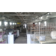 肉兔养殖场新西兰肉兔多少钱一只
