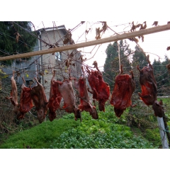 麻辣竹狸