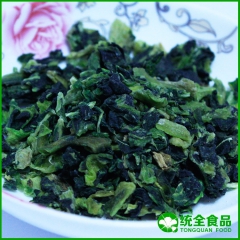 厂家直销供应 高品质 脱水青梗菜 出口级青梗菜 优质青梗菜