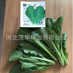 寒青 青梗菜 无绒毛杂交叶用小白菜 生长速度极快  四季可种...