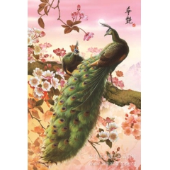 义乌三维画批发，高清3D立体画画，3D光栅画，35*50孔雀