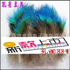 厂家批发孔雀 兰片孔雀毛diy手机套配饰孔雀羽毛耳环羽毛面具...