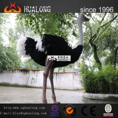 动物园鸵鸟  动物商品 动物制作 动物展览 动物工厂 动物装...