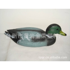 decoy duck，female/male duck ,园...
