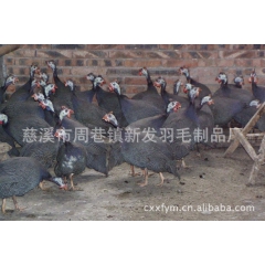 中华老字号 东阿阿胶桃花姬阿胶糕300g
