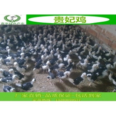 中华老字号 东阿阿胶桃花姬阿胶糕300g