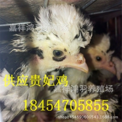 中华老字号 东阿阿胶桃花姬阿胶糕300g