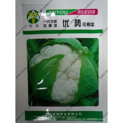 中华老字号 东阿阿胶桃花姬阿胶糕300g