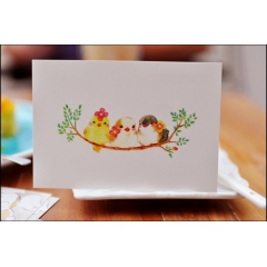 OPP袋装超级萌的小鹦鹉 插画风明信片 7张入