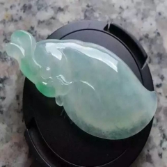 老坑冰绿鹦鹉，无裂完美，尺寸：47*21*6MM，批发价：1...