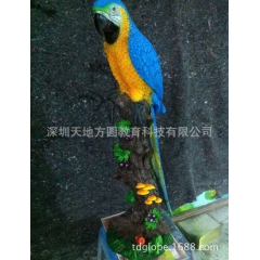 厂家直销动物模型鹦鹉 生物园学校展厅生态馆动物园科普馆展品