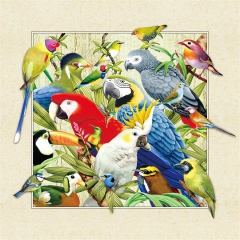 厂家直销高清40*40 5D立体画  鹦鹉