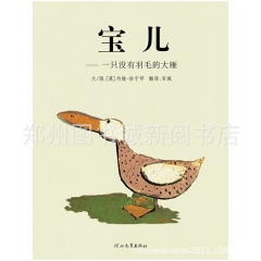 宝儿：一只没有羽毛的大雁 /丑小鸭式的故事