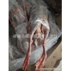 供应大雁，大雁鹅，朗德鹅，白条批发。量大优惠