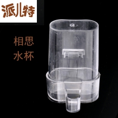 厂家直销小孖杯 相思 绣眼 金丝雀 金青 饮水器 自动喂水批...