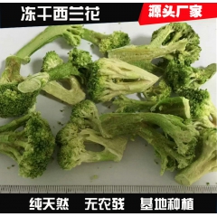 经销供应 冻干西兰花 基地种植直销 纯天然混合蔬菜干加工定制