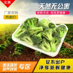 批发冷冻蔬菜 高品质绿色食品速冻西兰花 新鲜袋装西兰花