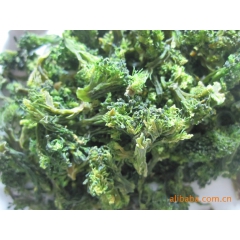 精品推荐 脱水西兰花 天然绿色蔬菜 顶能脱水蔬菜食品