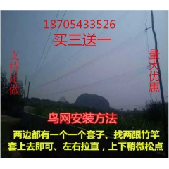 中华老字号 东阿阿胶桃花姬阿胶糕300g