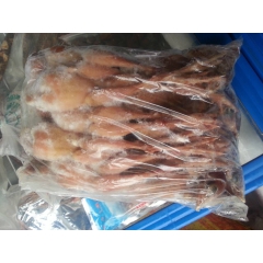 竹鸡，鹧鸪