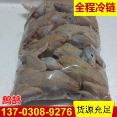 白阳雨鲜鹧鸪  80天龄300g鹧鸪  下单即宰24小时冷链...