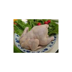 专业销售各种品种优质鸡肉 健康营养三黄鸡 现杀现卖三黄鸡