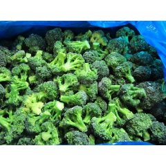 速冻绿花菜 火热促销