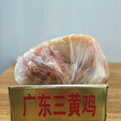 l供应高品质、高质量的广东三黄鸡 厂家直销 四十斤每箱三黄鸡