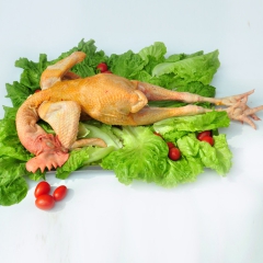 可预订大量优质原生态散养大三黄鸡 肉质鲜美现杀生态营养鸡