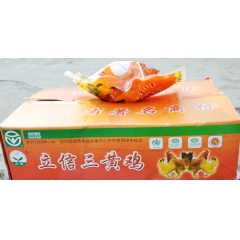 山东立信绿色美味三黄鸡  健康营养绿色食品三黄鸡 厂家加工生...