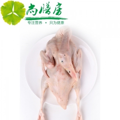 厂家直销批发肉鸭 烹调新鲜美味 传承经典量大优惠 炖汤 汤锅...