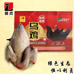 利贞乌鸡  永定散养乌鸡 家禽 膳食 客家原生态乌鸡