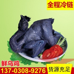 温氏竹丝鸡 1.2-1.4鲜乌鸡 24小时发货 冷冻鸡肉批发...