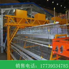 金兴新型蛋鸡肉鸡用龙门式上料机