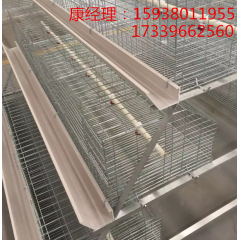 蛋鸡笼 金兴鸡笼厂 三层四层蛋鸡笼厂家直销