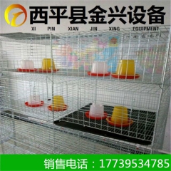 金兴养殖专用蛋鸡肉鸡镀锌育雏笼