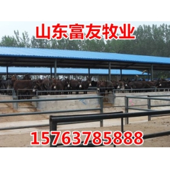 中华老字号 东阿阿胶桃花姬阿胶糕300g