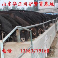 中华老字号 东阿阿胶桃花姬阿胶糕300g