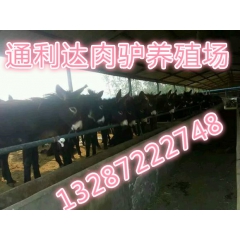 中华老字号 东阿阿胶桃花姬阿胶糕300g