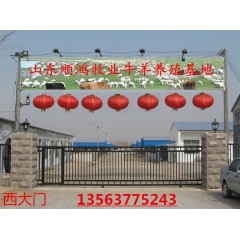 优质 ：肉驴 种驴 驴苗 乌头驴 德州驴 大型养殖场 基地