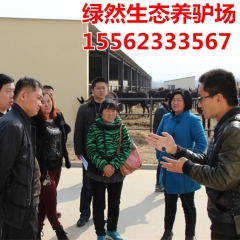 南方养殖，德州驴 乌头驴 三粉驴哪个品种的驴比较好养
