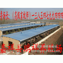 山东养驴场 养殖华北驴效益 三粉驴,关中驴,黑驴等品种齐全