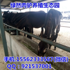 德州驴 三粉驴 关中驴 华北驴都属于是肉驴品种吗？