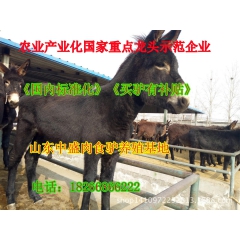 养驴需要什么标准养关中驴 驴驹 种驴 肉驴苗养殖技术