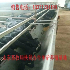 虎林德州驴育肥 新疆驴 华北路 乌头驴肉驴仔
