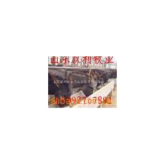 优质改良肉用驴品种 德州驴乌头驴 三粉驴佳米驴 关中驴东北肉...