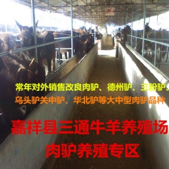 诚信网商供应华北驴 山东华北驴养殖场