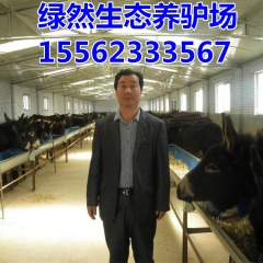 德州驴 广灵驴 关中驴出售种驴赚钱吗？